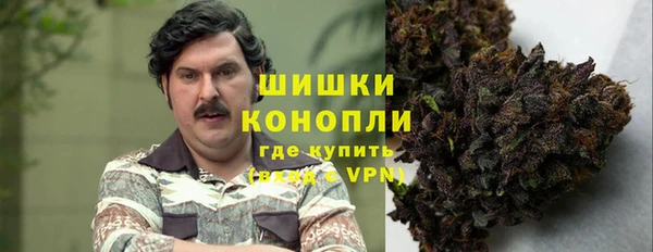 индика Алексин