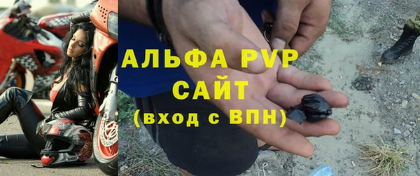 индика Алексин