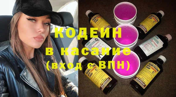 индика Алексин