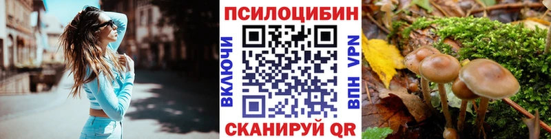 Галлюциногенные грибы GOLDEN TEACHER  цены наркотик  Тогучин 